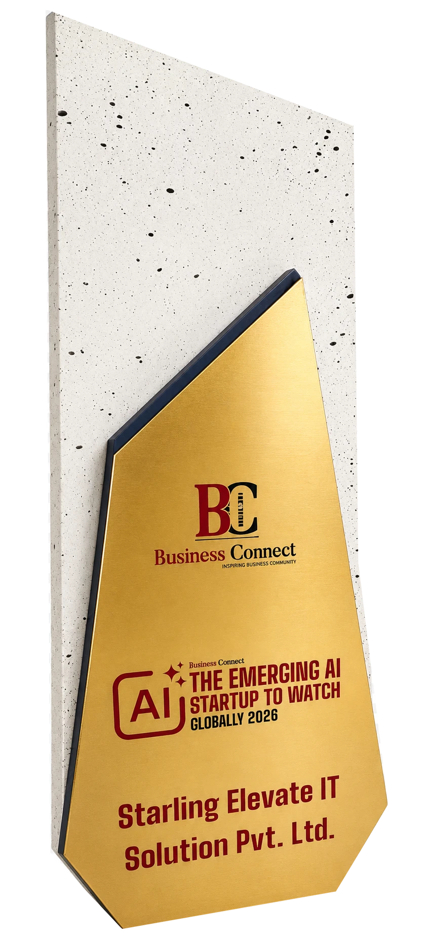 Business Connect Trophy