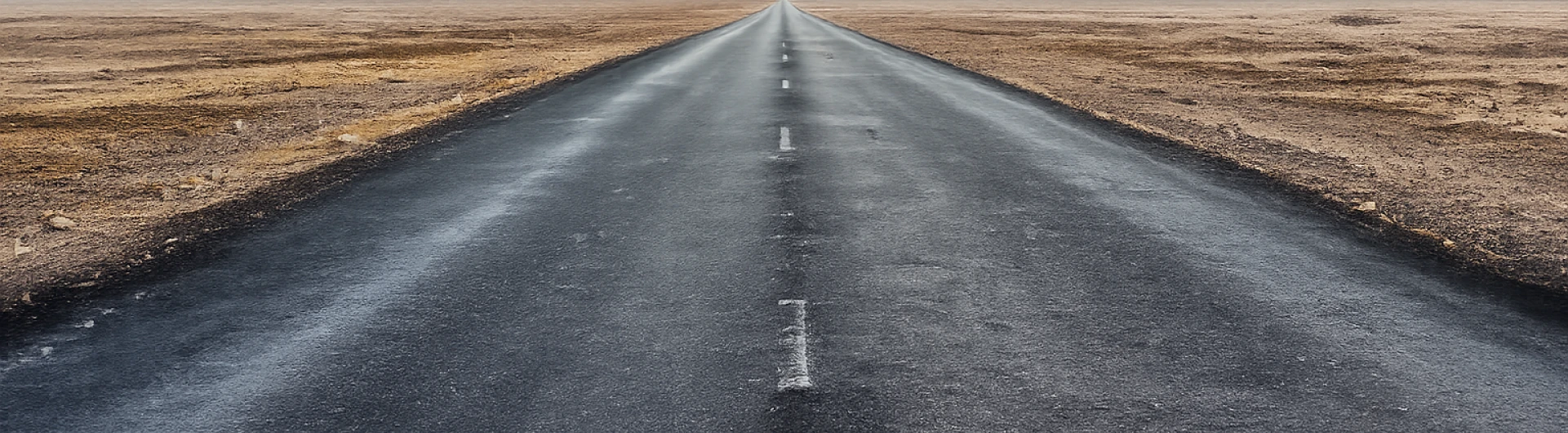 Starling Elevate AI Technology Roadmap Background